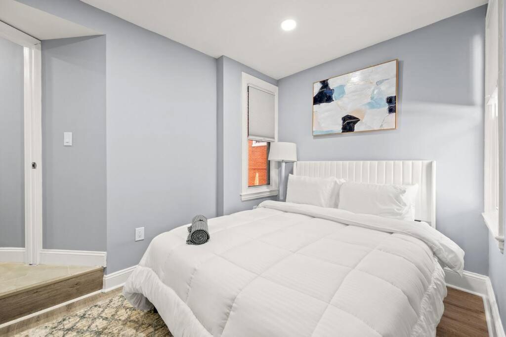 New! Cozy Apt In Center City! Philadelphia Ngoại thất bức ảnh